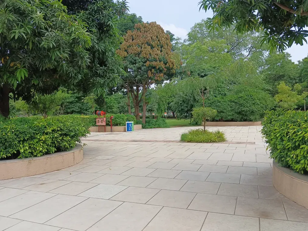 PDEU Campus photo 13